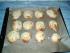 Schnecken von *delia*