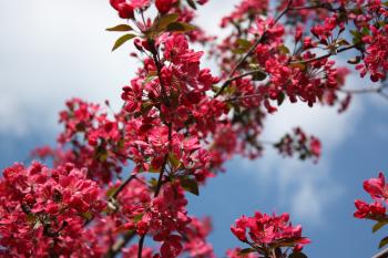 test vergessen 2961400300