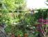 Gartenteich