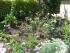 mein Garten 2011
