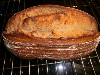 Brot Br&ouml;tchen backen 03 03 09 03 2012 1652126391