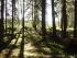 full_dsc04730.jpg