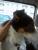 full_dsc01962.jpg