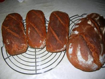 Brot Br&ouml;tchen backen 03 03 09 03 2012 3657752798