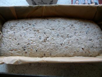 Brot Br&ouml;tchen backen 04 08 10 08 2012 955842975