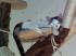 Kater Lemmy