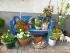 full_ostern09085.jpg
