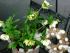 full_ostern2010033.jpg