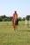 full_img_7159.jpg