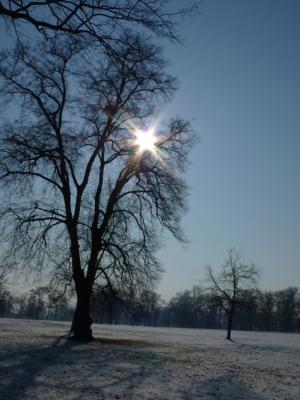 Gedichte Spr&uuml;che 23 M&auml;rz 2012 1798463349