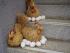 H�hnernest auf der Stiege