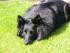 full_04050004.jpg