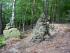full_13050307.jpg