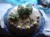 Tauftorte