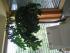 full_img_2464.jpg