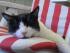 full_06.06.14003.jpg