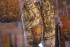 full_100421_coppa_08_ck.jpg