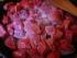 full_gl01dsc03817.jpg