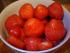 full_a10dsc03835.jpg
