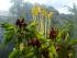 full_dsc04022.jpg
