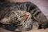 full_dsc_0374.jpg