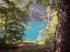 alpsee