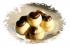 Meine 2 richtigen Pralinen