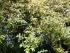 full_foto0234.jpg