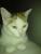 bin m�de, lieg in 