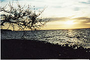 Meer-Fans`s an der wundersch&ouml;nen Ostsee
