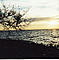 Meer-Fans`s an der wundersch&ouml;nen Ostsee
