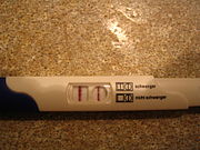 Mamis 2009