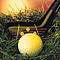 Der Golfsport