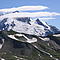 Alpengaudi
