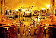 Wenn ich einmal gro&szlig; bin, heirate ich eine Brauerei.