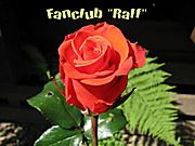 Fanclub "Ralf"