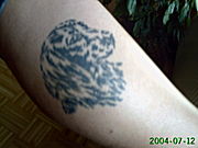 Tattoos sind Kunst auf dem K&ouml;rper!