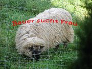 Bauer sucht Frau