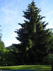 Garten - rund ums Jahr!