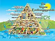 Vegan/Vegetarisch & Kreativ