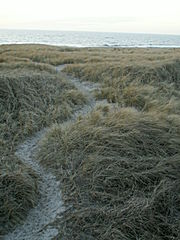Nordfriesland ~ S&uuml;dtondern ~ S&uuml;dd&auml;nemark