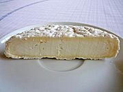 Die Hausk&auml;serei, alles &uuml;ber hausgemachten K&auml;se