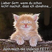 Kilo f&uuml;r Kilo! Gemeinsam abnehmen!
