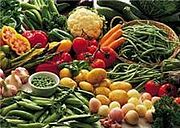 Gesunde Rezepte und Ern&auml;hrung