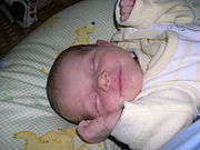 Babys 2006