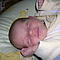 Babys 2006