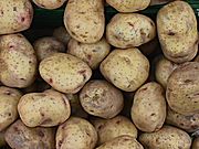 was man alles aus kartoffeln machen kann