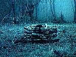 Horrormovies!!