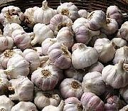 Knoblauch