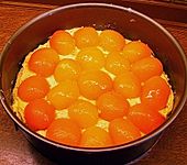 Aprikosenkuchen mit Nüssen
